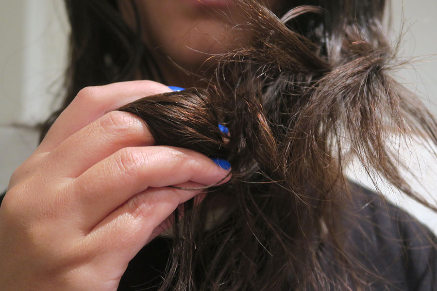Three Months, Water Only Hair Washing - Birdgehls Three Months, Water Only Hair Washing - Birdgehls