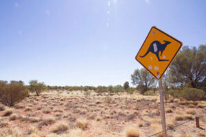 A signpost with a kangaroo on it in the Australian outback. Why move to Australia? Well, there's plenty of convincing reasons.