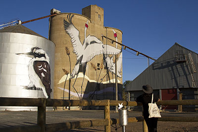 Navigating the North East Silo Art Trail in Victoria