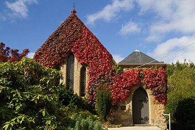 A church in the small town of Mt Macedon covered with red autumn leaves. Discover where to find the best autumn leaves in Victoria.